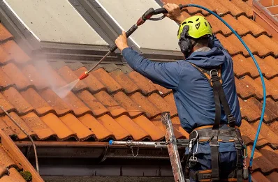 Démoussage et hydrofuge de toiture à la Hallotière